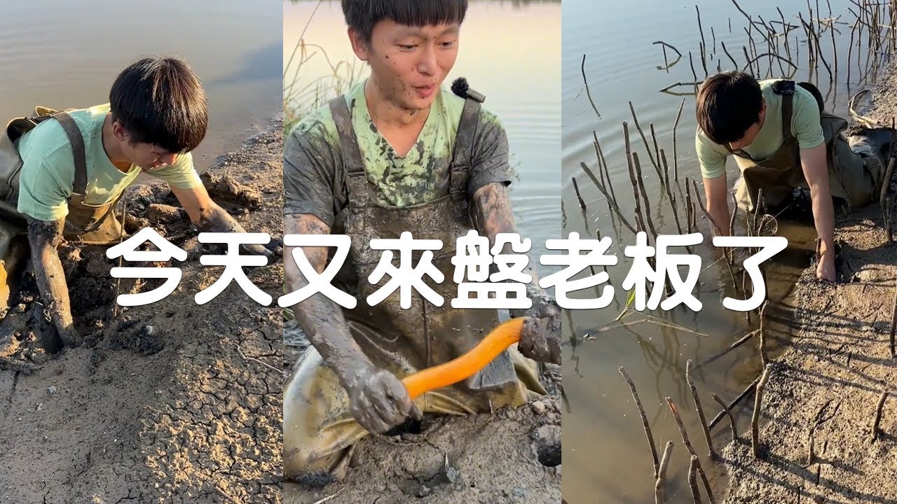 這塊塘可不簡單，之前花100塊抓了滿滿一大桶鱔魚，今天又來盤老板了，看看收獲如何#fishing#viralvideo# 捕魚