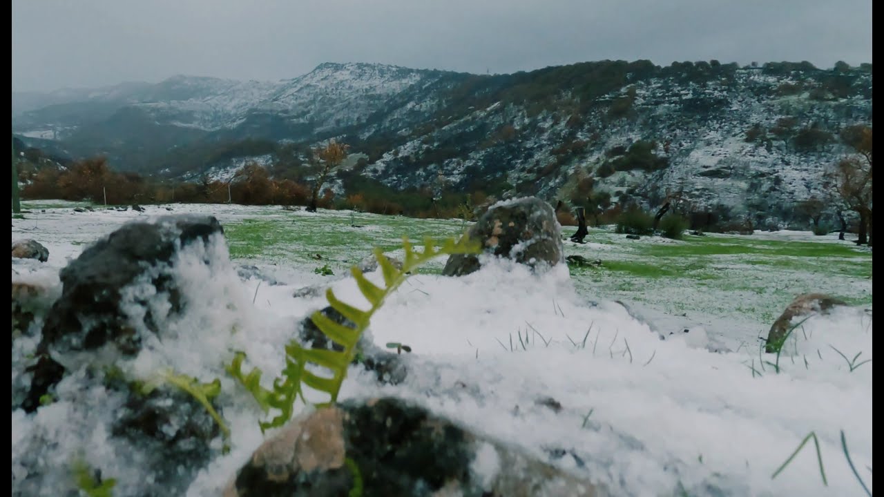 Cammino sardegna costa selvaggia ..Da Cugleri nella neve