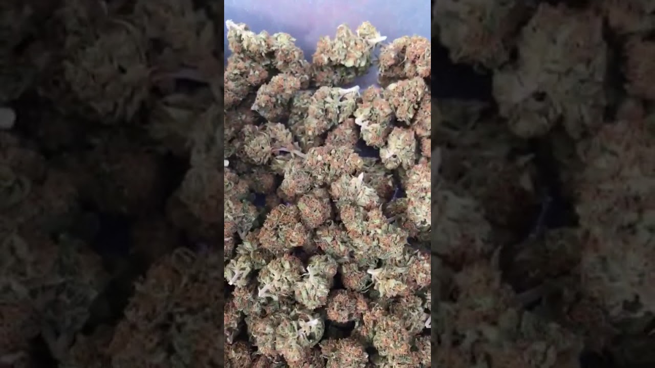 Fleurs de Cbd BZ1