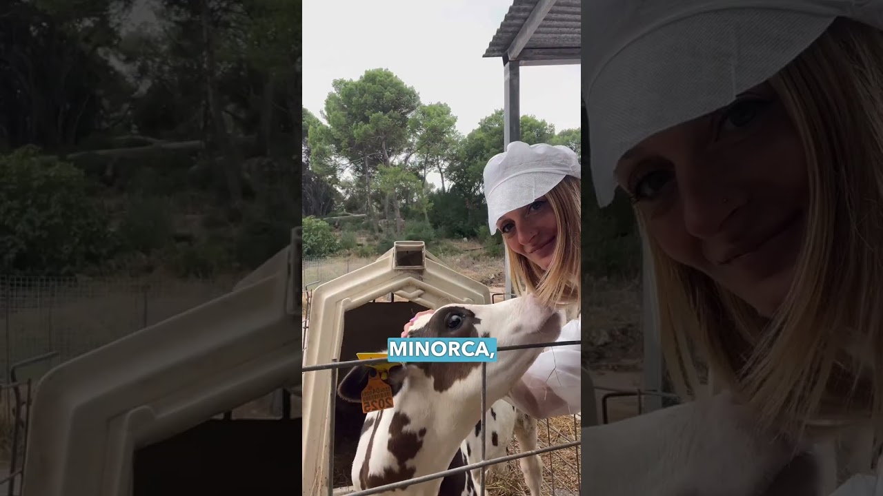 Subaida Menorca: visita alla fattoria