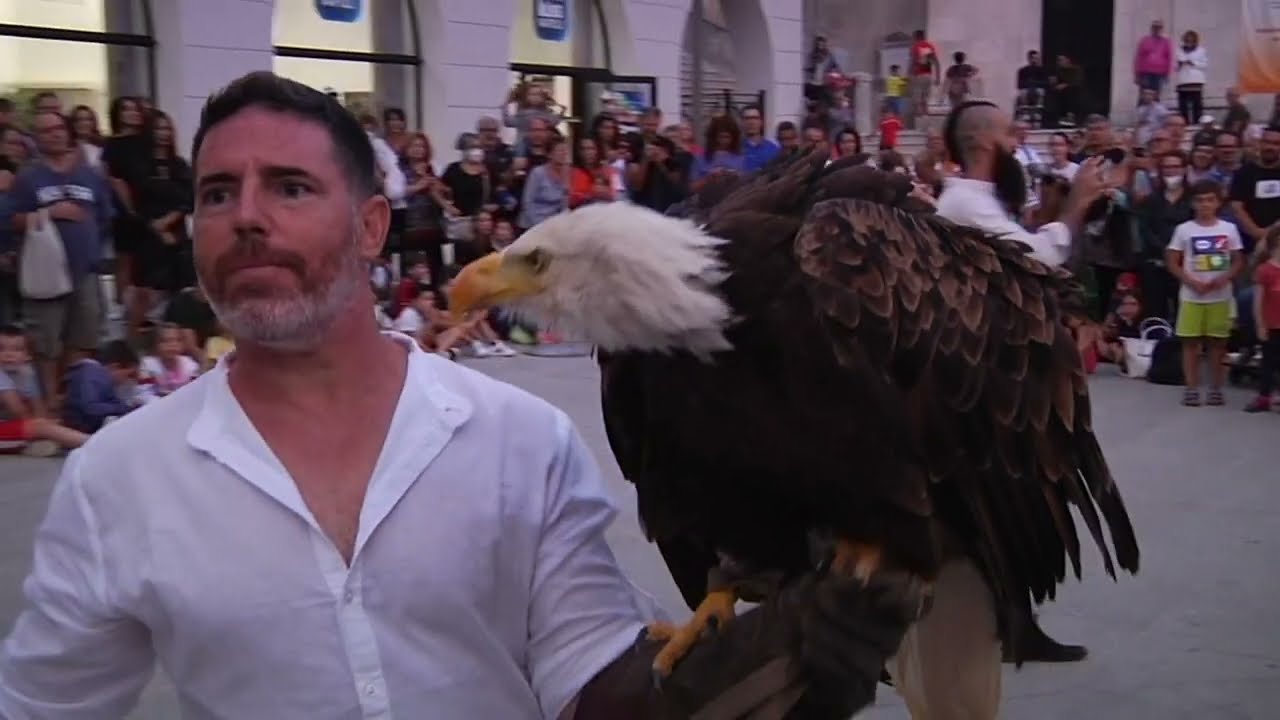 Arti e mestieri Castel di Sangro, Angelo Bergamotti falconiere