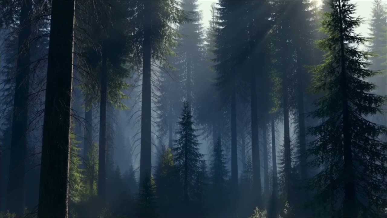 Forest Rain Sounds for Sleeping All Night (2 Hours) | Deep Sleep Rain Ambience