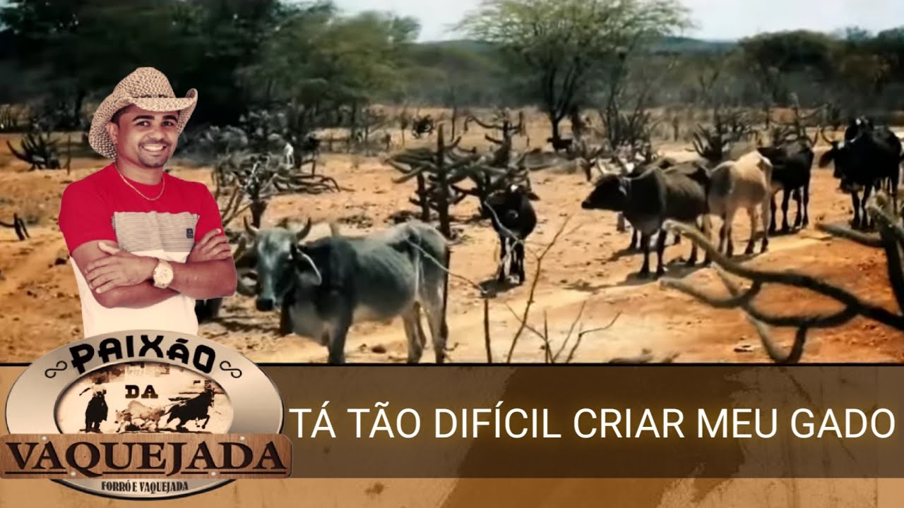 Tá tão difícil criar meu gado
