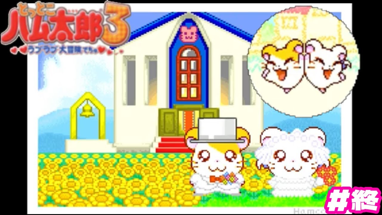 すべてのハムご！最高のゲーム！【ハム太郎3】#終