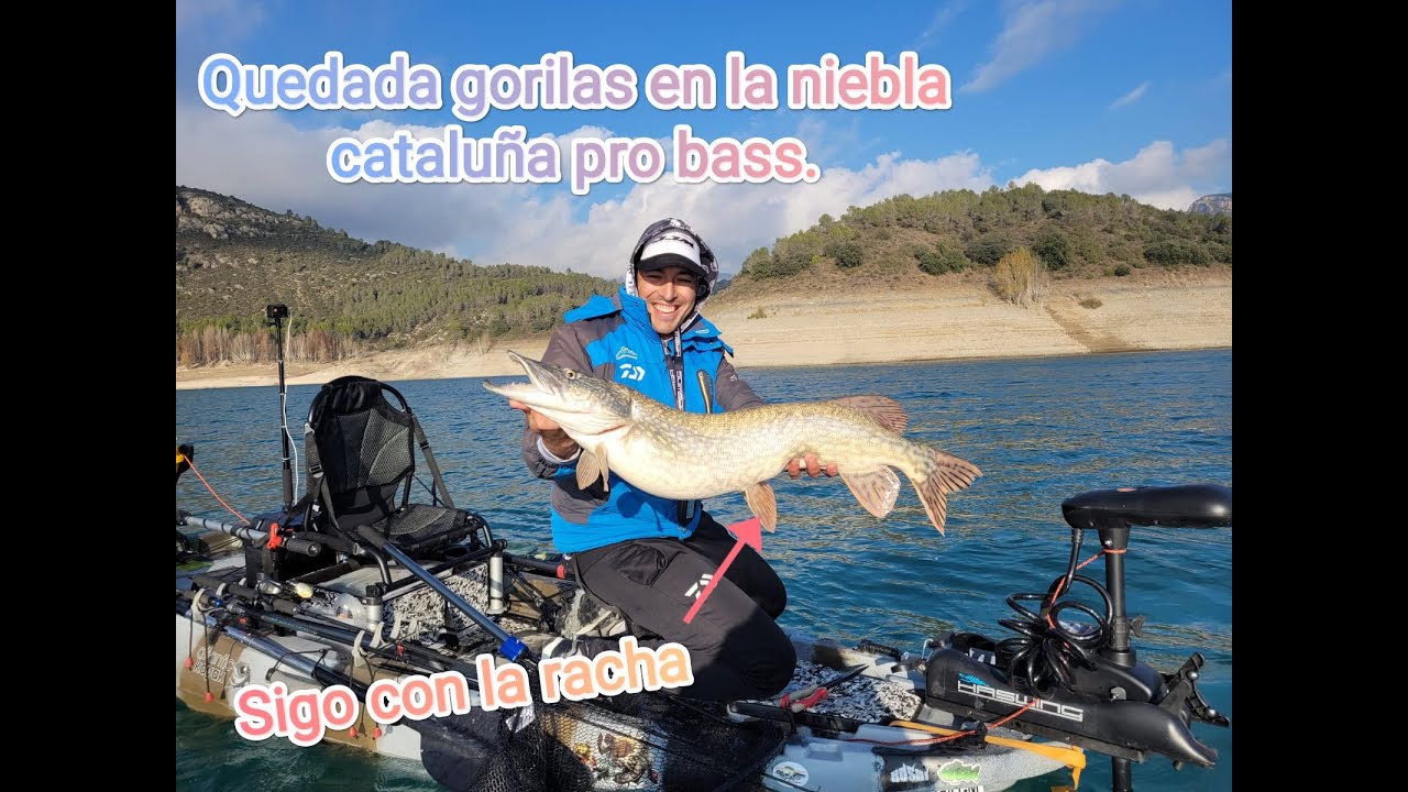 Quedada cataluña pro bass. Seguimos en racha🎉 con la Garmin panoptix📺