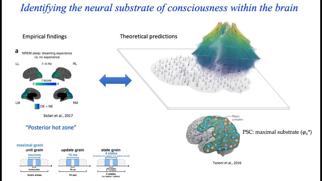 Integrated Information Theory (IIT) by Matteo Grasso & Larissa Albantakis [MESEC WinterSchool 2023]