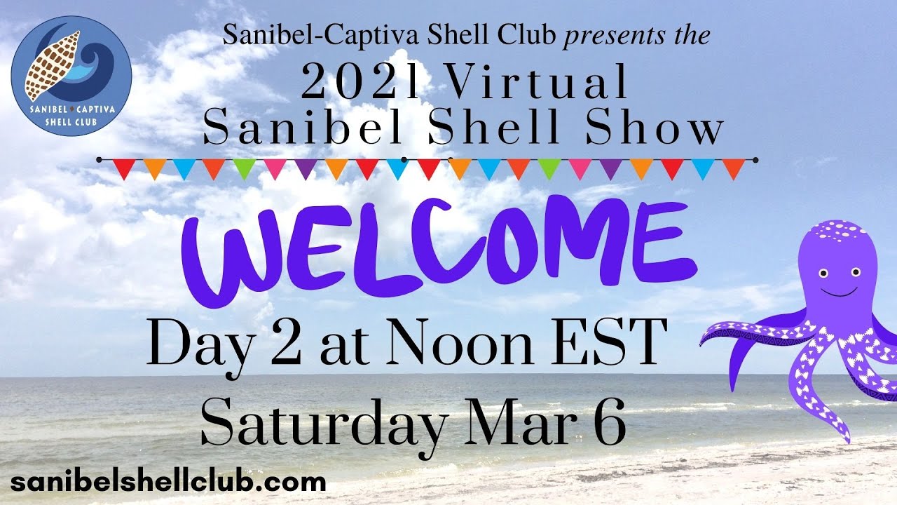 Virtual Shell Show: DAY 2 SATURDAY March 6