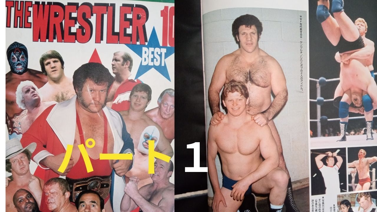 THE・WRESTLER・BEST１００　パート1
