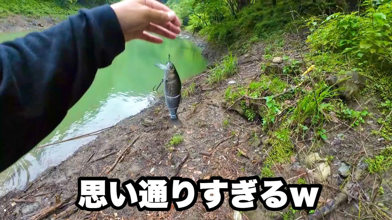 ルアーによっての出し所や狙い所なんかを解説しながら爆釣する動画