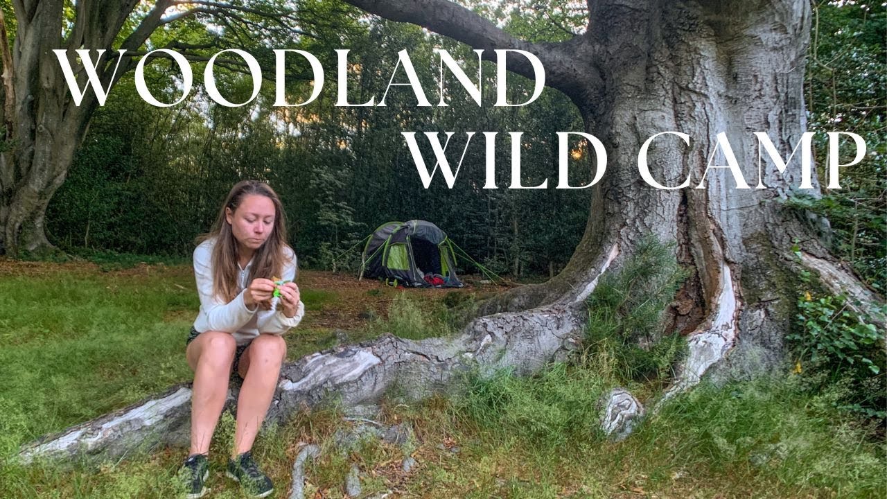 Wild Camping in a Secret Clearing in the Woods - Making Time for Adventure