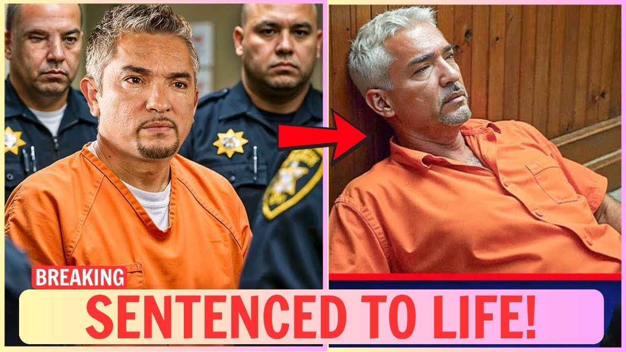 Cesar Millan Breaks Down in Court After Jaw-Dropping Sentence