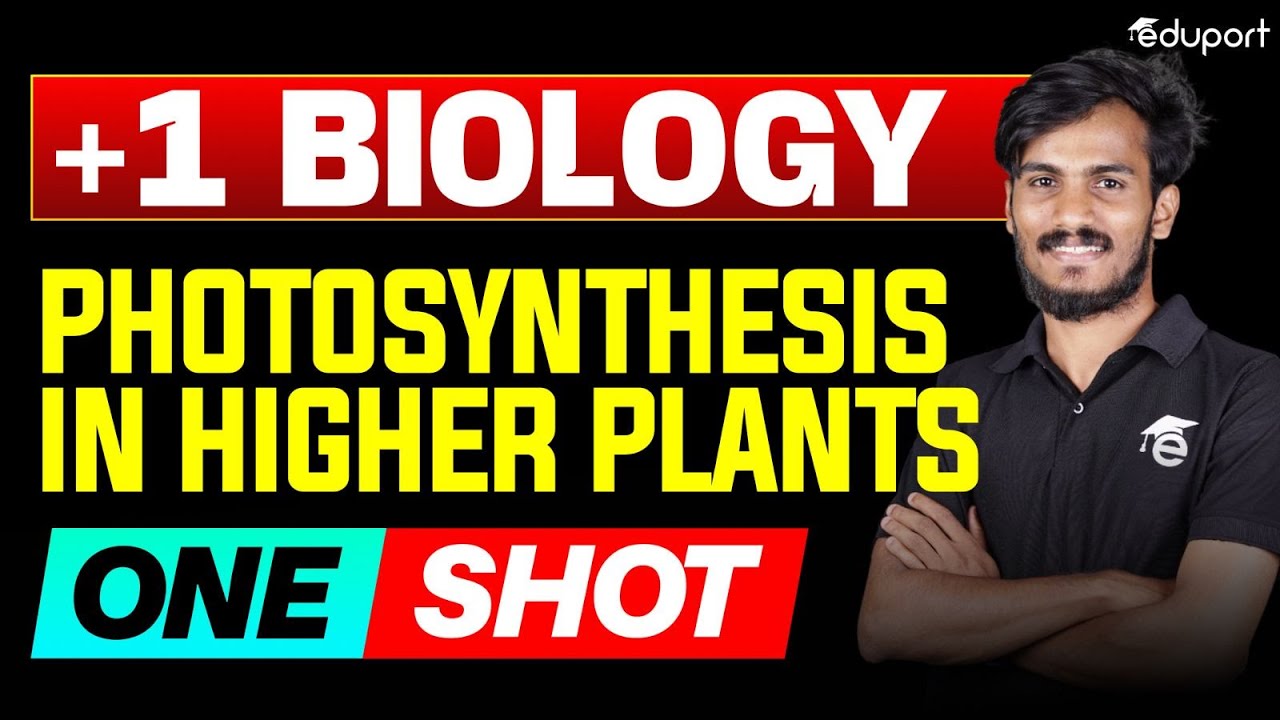Plus One Biology | Photosynthesis in Higher Plants - Oneshot | Public Exam 2025 | Eduport Plus One