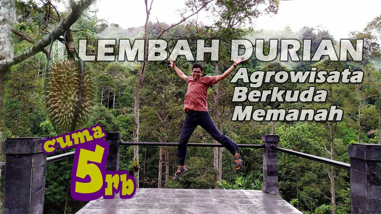 LEMBAH DURIAN : Agrowisata Durian, Berkuda, Memanah dan Spot Selfie di Bandar Lampung