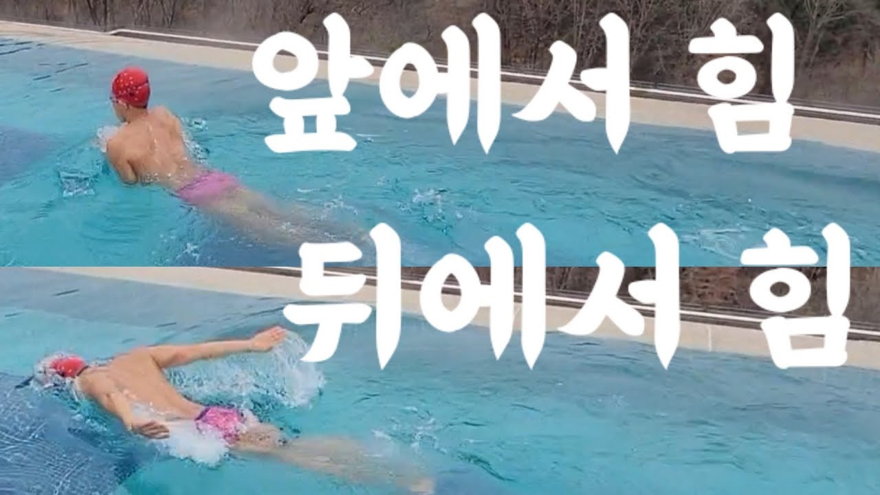 평영 접영 물잡기는 같지만 힘은 다르다