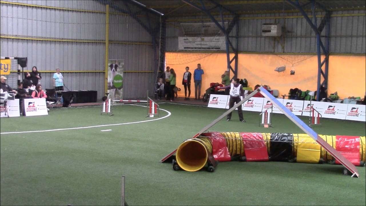 Some of Silesian Open, Austrian & Hungarian tryouts