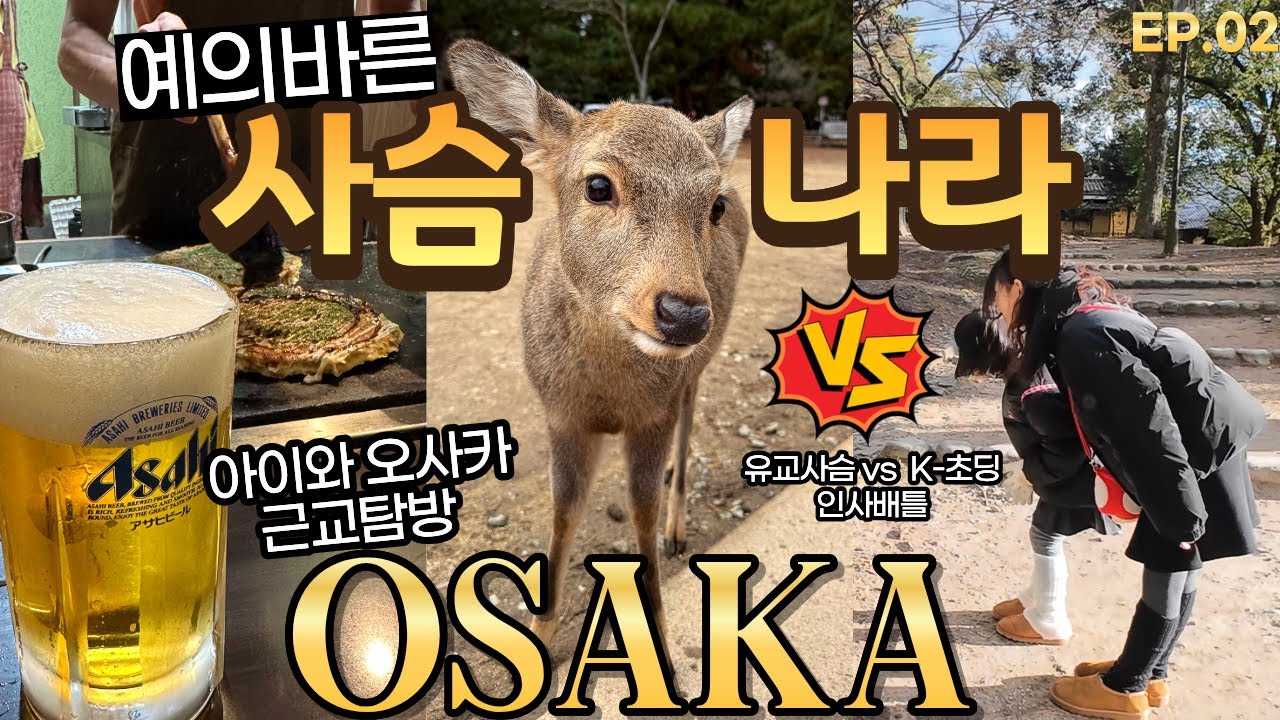 오사카 나라공원 사슴이랑 인사배틀 붙은 K-초딩ㅋㅋ인생뷰 하루카스300 야경 / 웨이팅에 성공한 우사기야 오꼬노미야끼 맛집까지! 🇯🇵2일차 코스