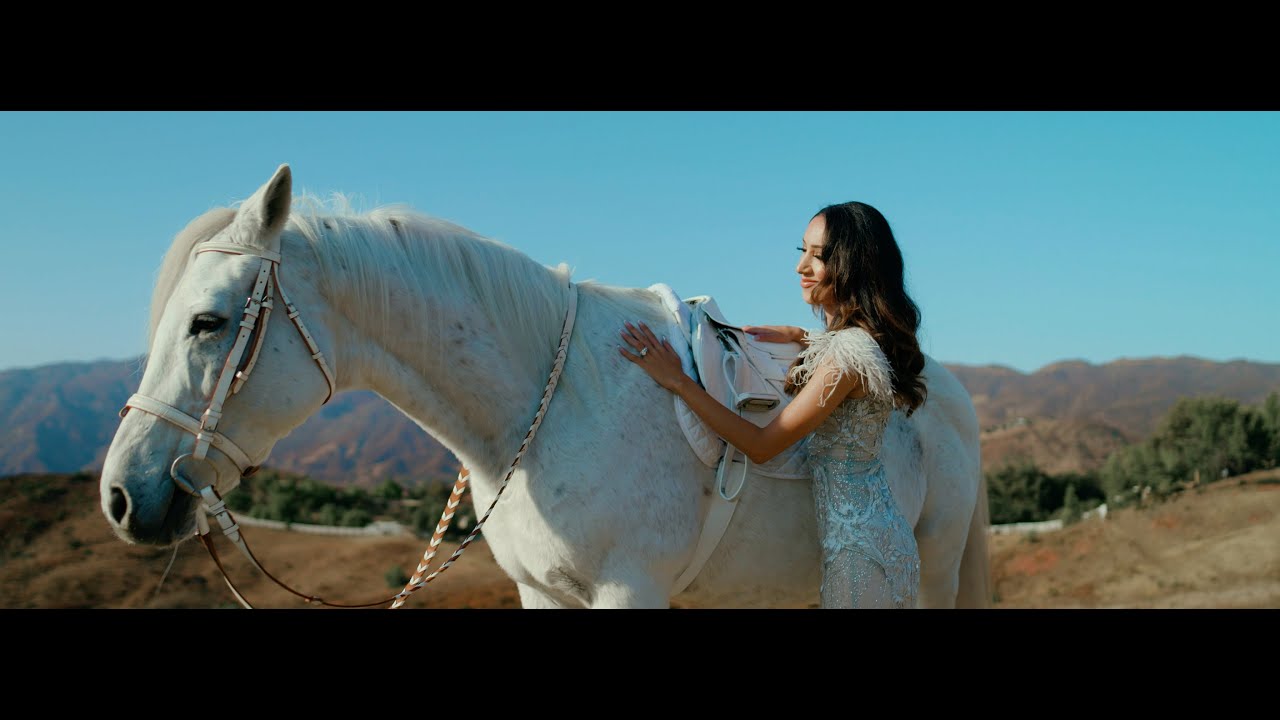 SONY FX9 Wedding and Engagement video SHOT with the Zhiyun CRANE 3S