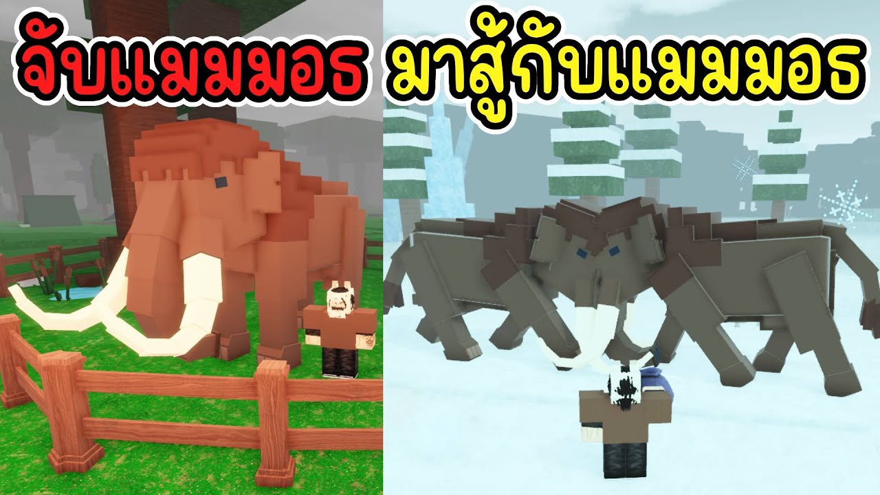 จับแมมมอธ มาสู้กับแมมมอธ : 99 Nights in the Forest | Roblox
