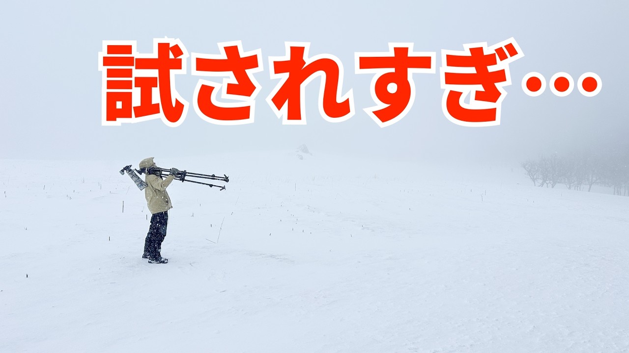 【試されすぎた】真冬の北海道でオオワシとシマエナガを探せ！！！