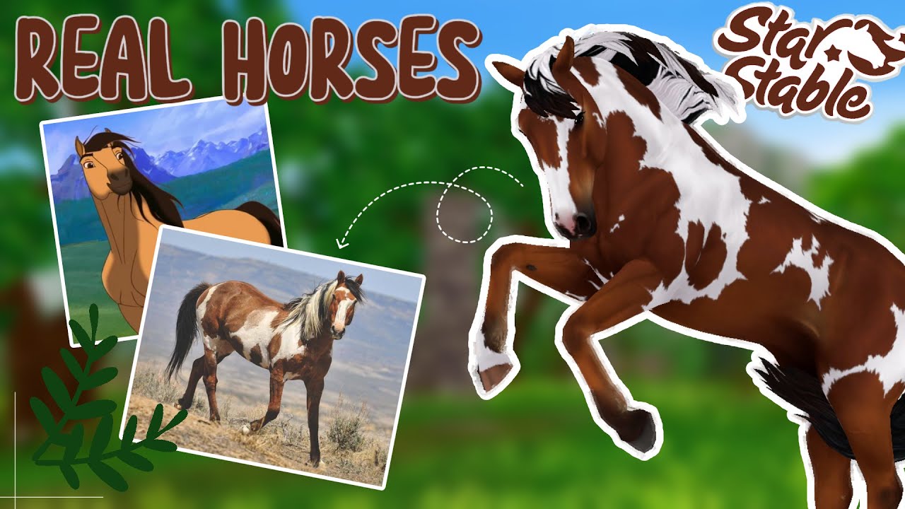 Does Star Stable Online have real horses? | Star Stable Online