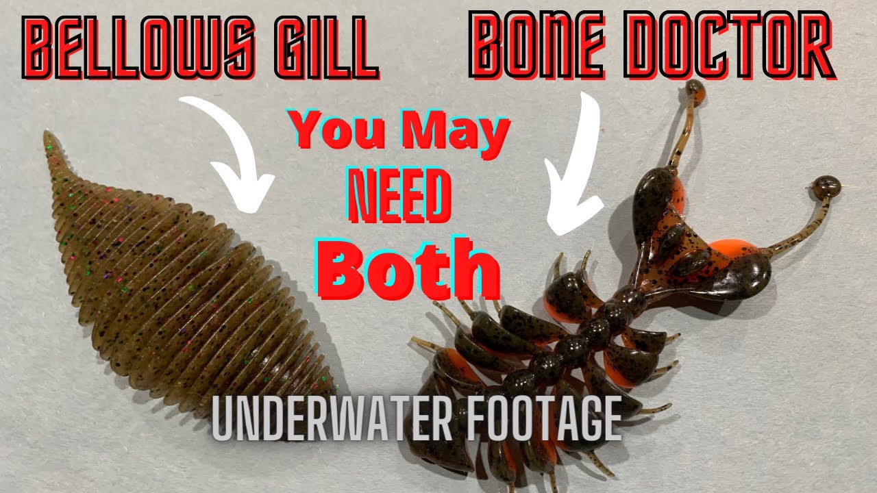 Bellows Gill/Dancing Bone Doctor.  You May Need Both. Underwater Footage.