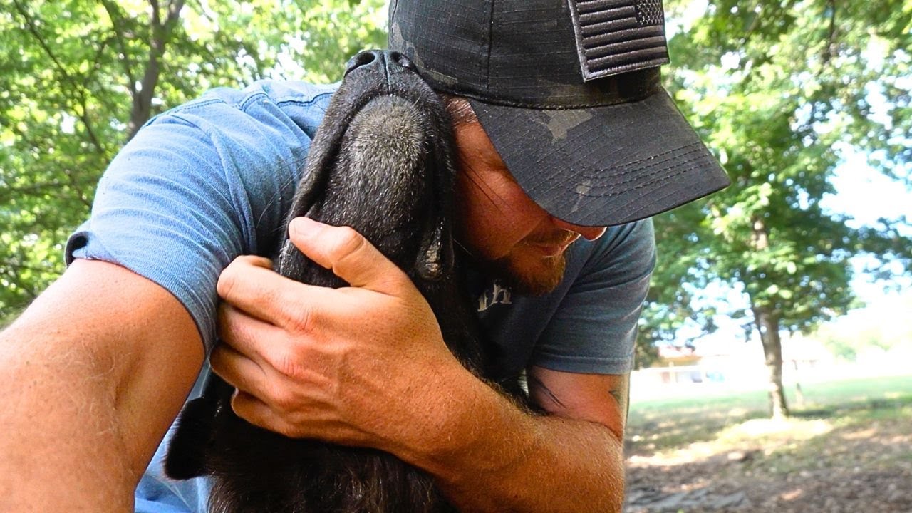 EMOTIONAL DAY - GUARD DOGS WENT MISSING THEN THIS HAPPENED!