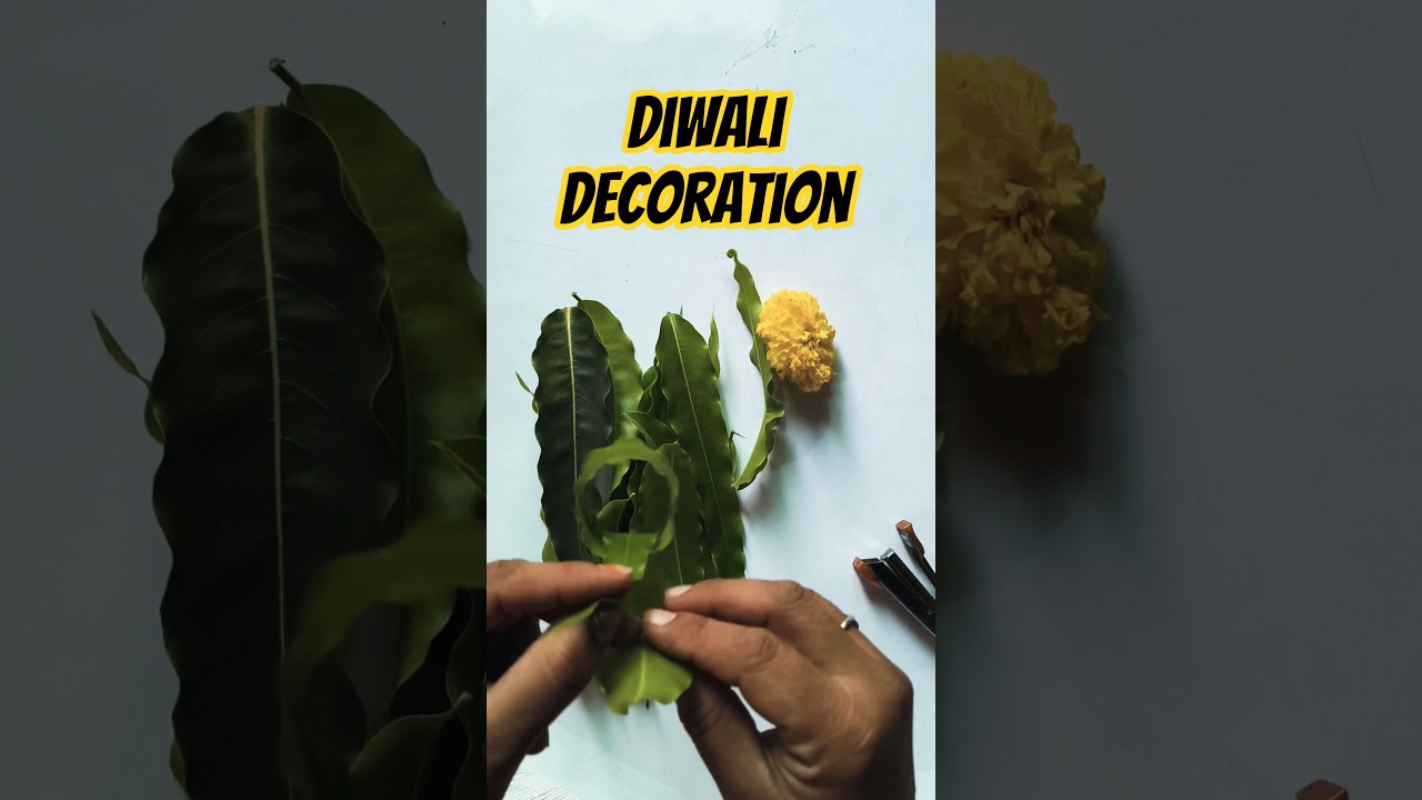 DIY Diwali Decoration 