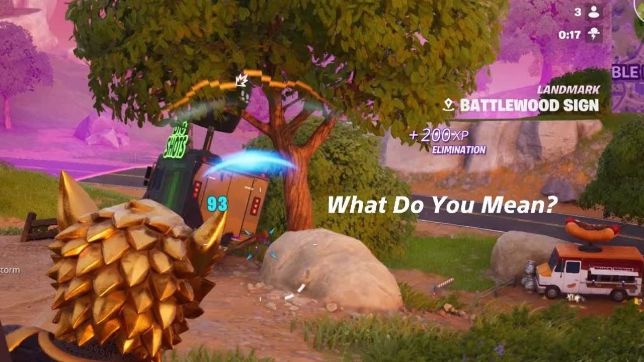 Fortnite What Do You Mean!?