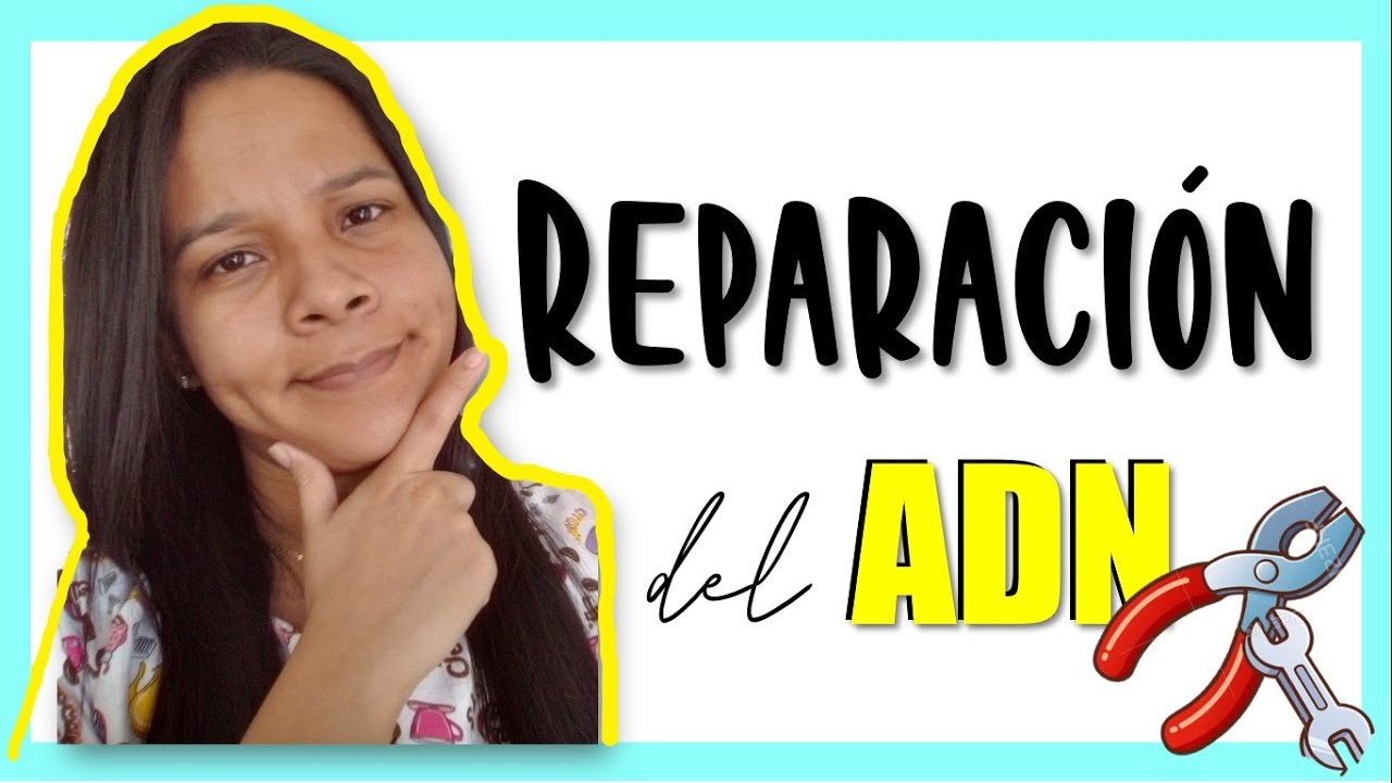 🔴🧬Mecanismos de reparación del ADN 🔧