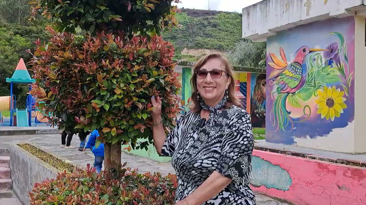 Arte topiario en plantas perennes las eugenias 