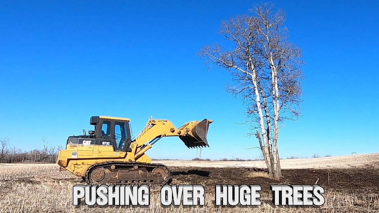 Pushing Over Massive Trees With CAT 973C Track Loader