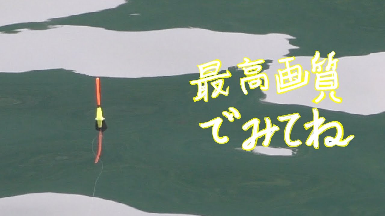 『ウキあたりシーンあり』小型棒ウキと小さなダンゴ釣り!!! #紀州釣り #ウキダンゴ釣り