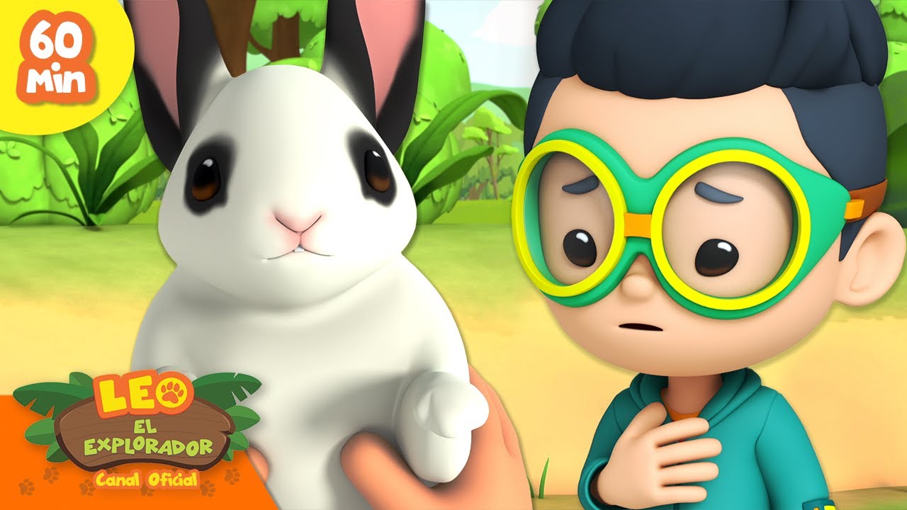 ¡LOS ANIMALES MÁS LINDOS! 🥰💕 ¡Gatos, Conejos y más! 🐇 | Leo, El Explorador | Animación