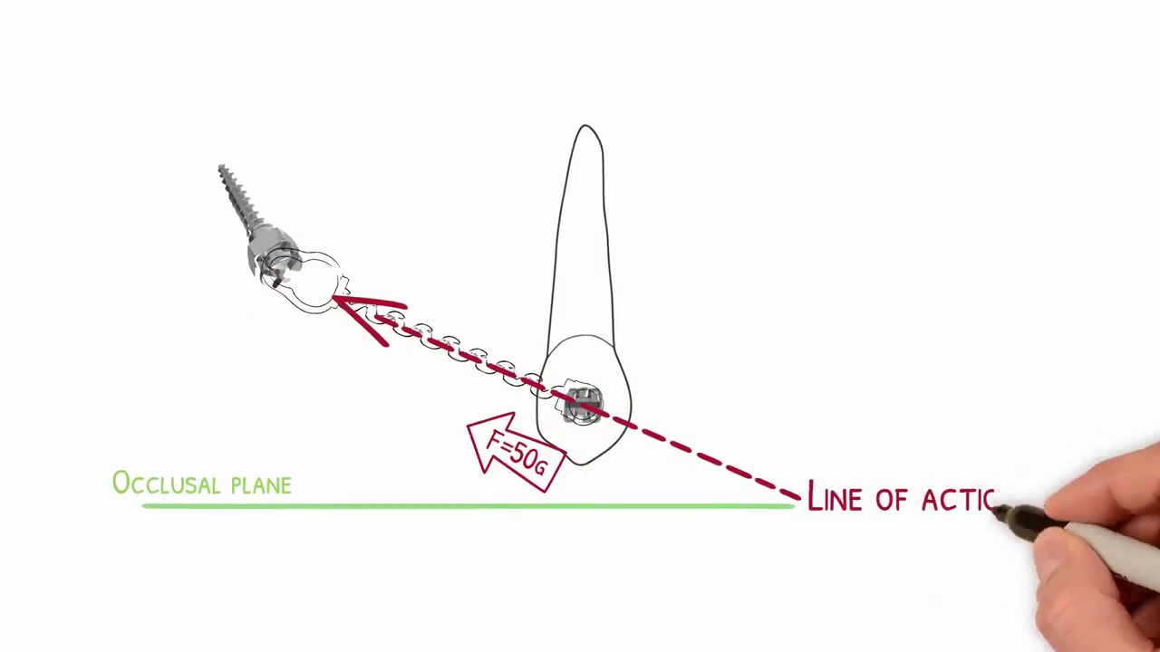 ATTRIBUTES OF FORCE