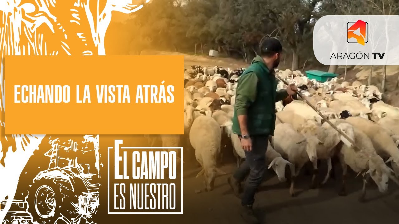 Echando la vista atrás