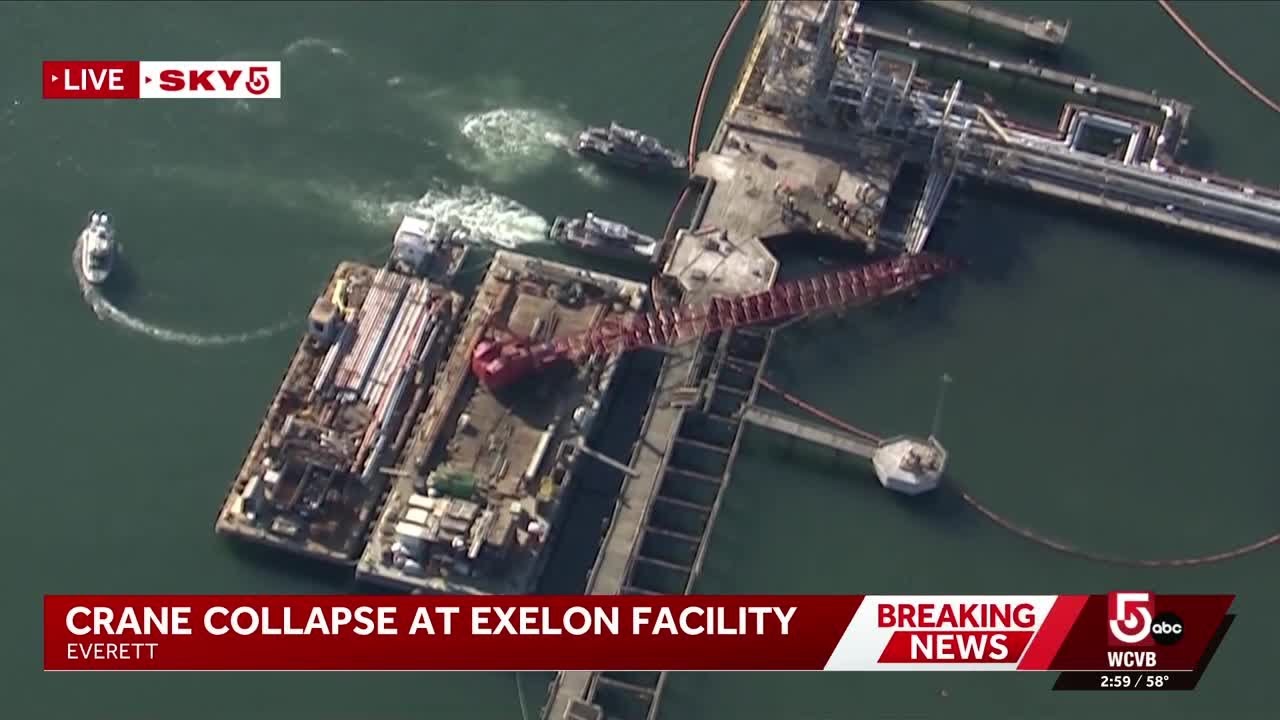 One person dead in apparent crane collapse in Everett