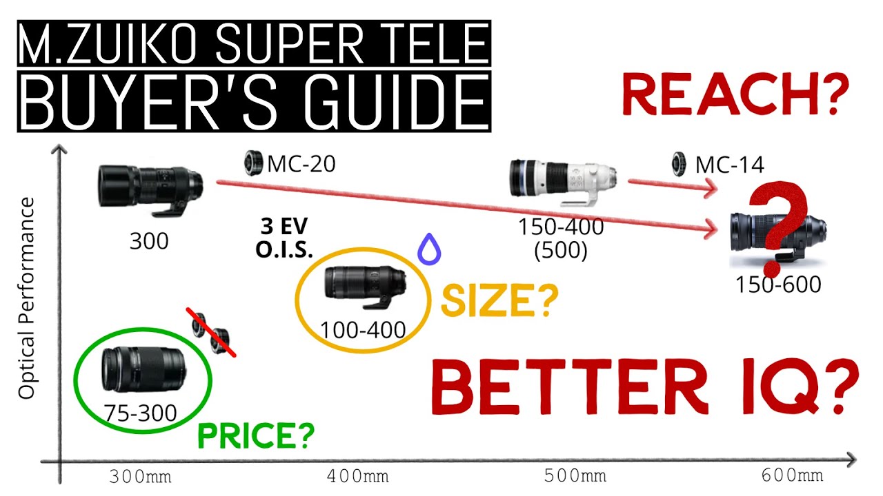 [Buyer's Guide] OM System M.Zuiko Super Telephoto Lenses