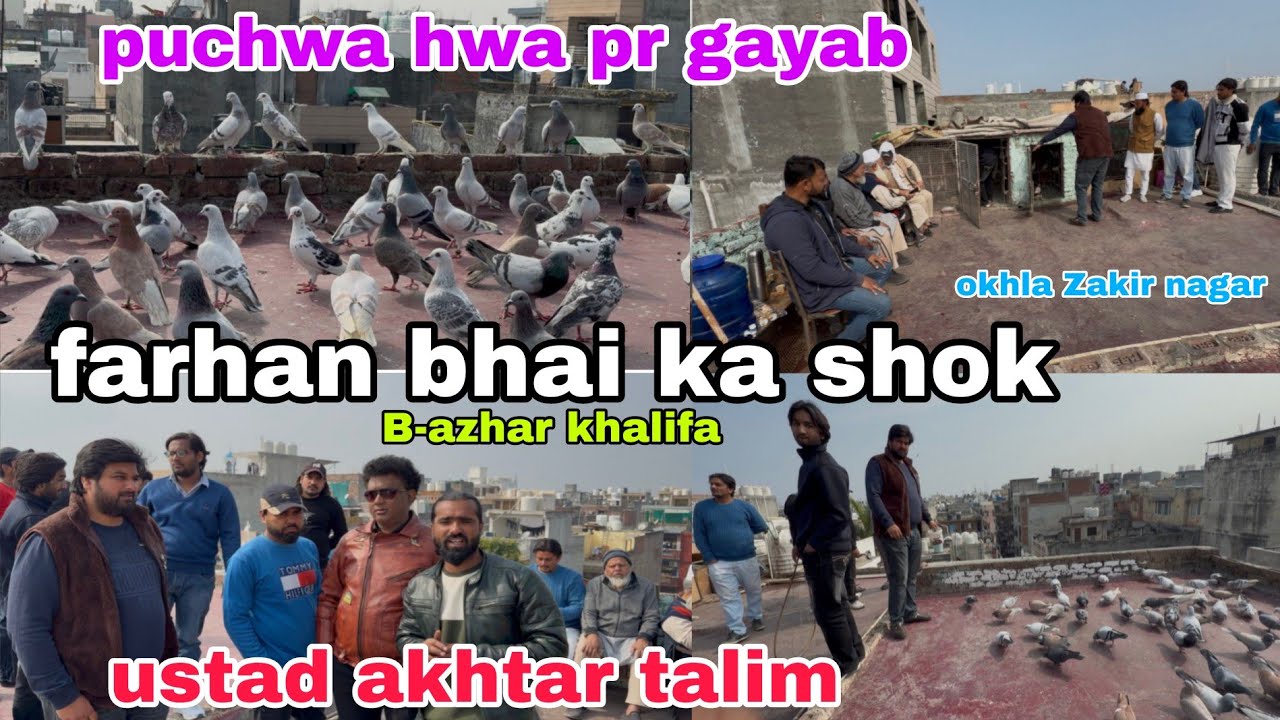 Ustad akhtar talim. Farhan bhai ka kabutar purva pr gayab B.azhar khalifa 