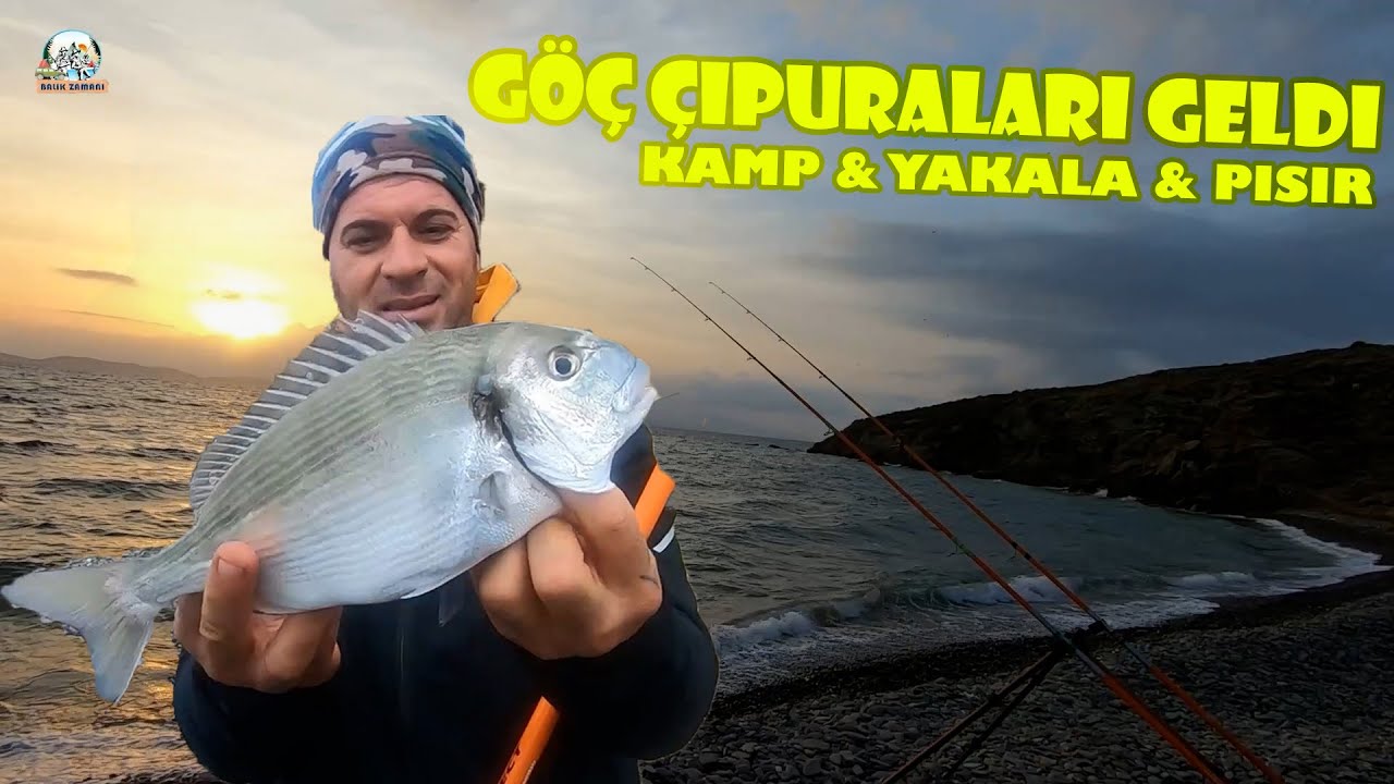 KARABURUN KÜÇÜKBAHÇEDE GÖÇ ÇİPURALARI YAKALADIK !!  KAMP YAKALA PİŞİR