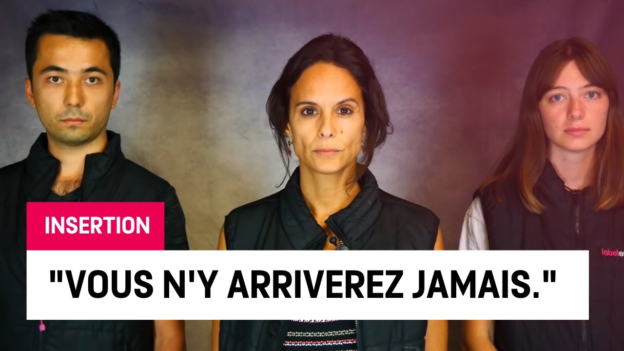 L'INSERTION PROFESSIONNELLE A LABEL EMMAÜS