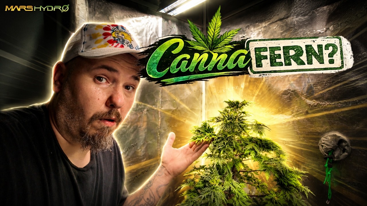 This is the CRAZIEST looking CANNA plant!  |  MarsHydro iControl system