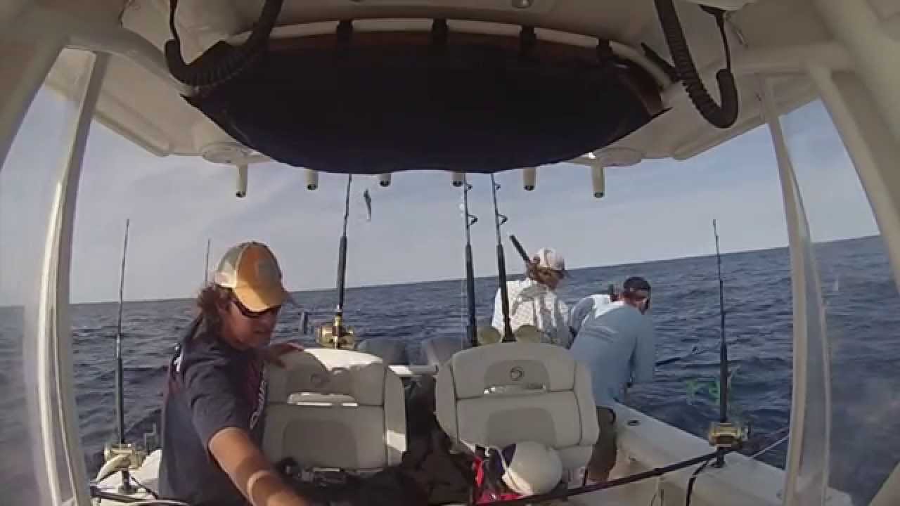 Bigeye Tuna fishing - Oceanographer Canyon - Offshore Investment