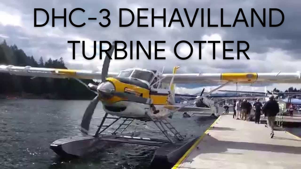 Kenmore Air DeHavilland Turbine Beaver - GREGG MUNRO