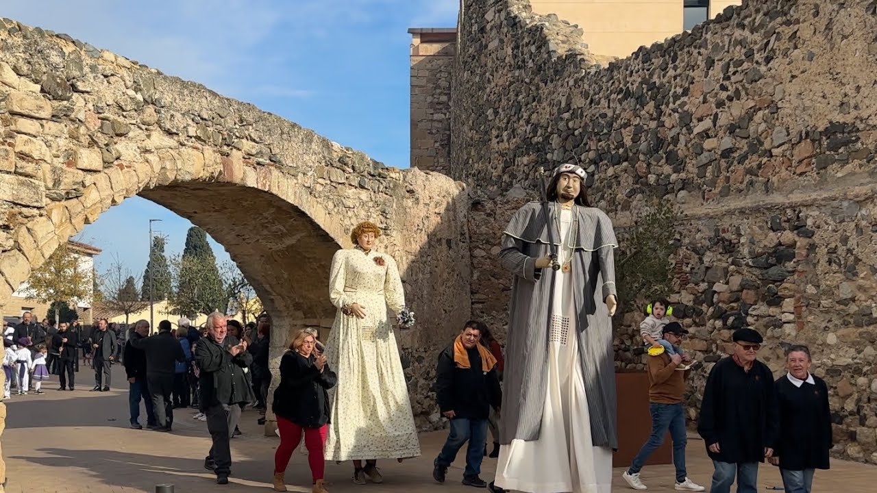 Seguici Festiu de La Selva del Camp (Festa Major de Sant Andreu 2023)