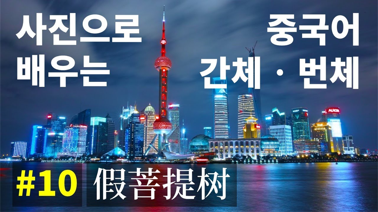 [해설본] 사진으로 배우는 중국어 간체 번체 #10 - 가보리수