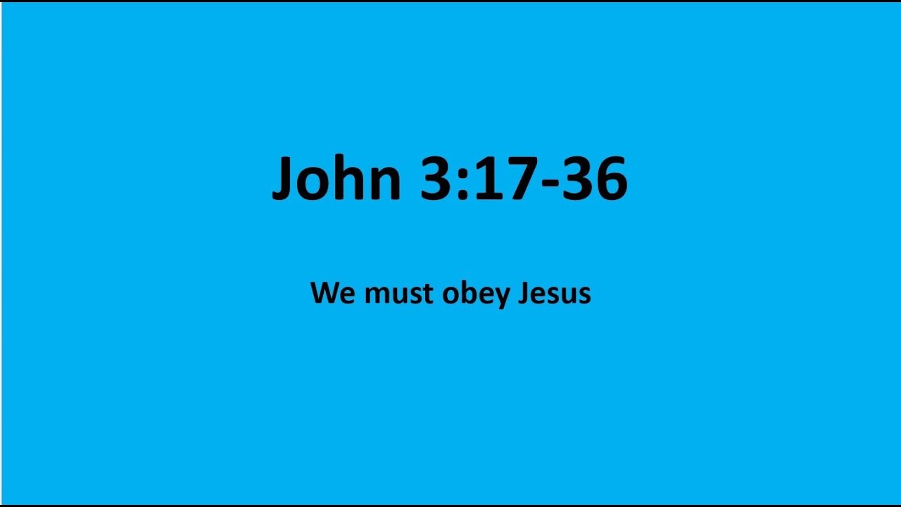 Bible Study: John 