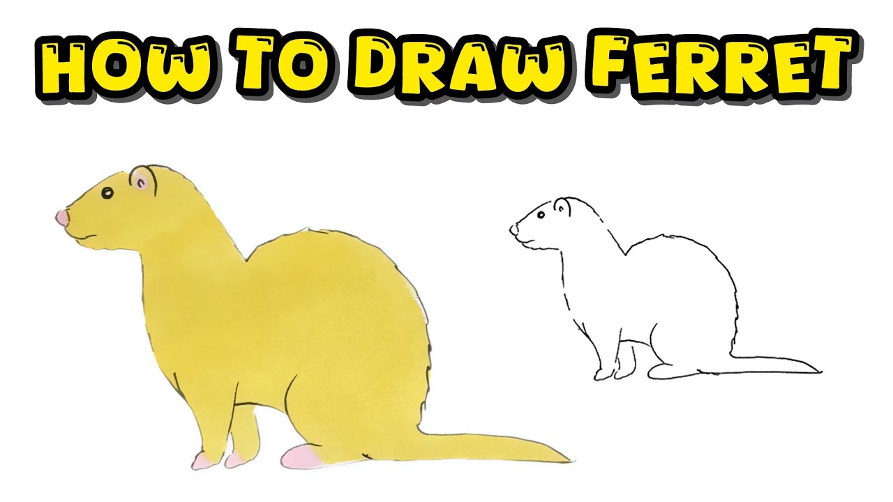 Follow Along Video and Watch How to Draw Ferret &ndash; Coloring Instructions to Draw