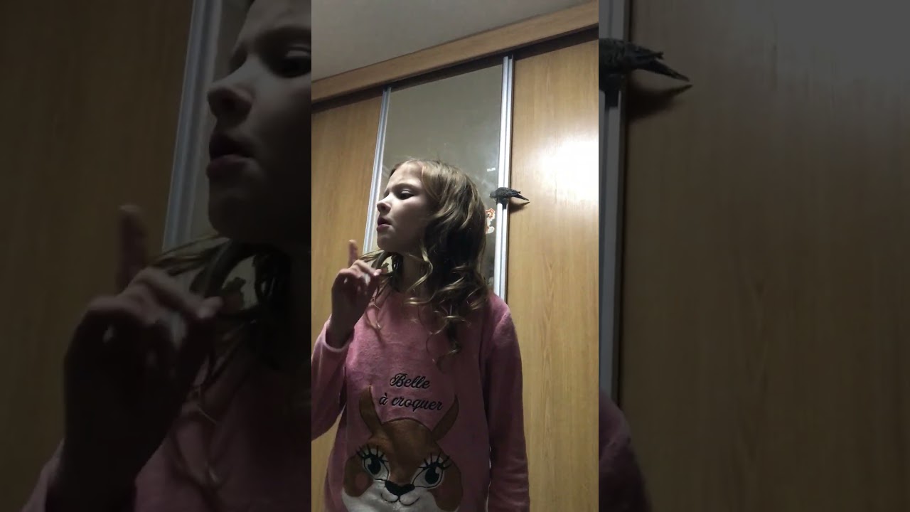 Эмма летает из - за любопытства. Волнистый попугайчик. 23 - 24.12.2025 г