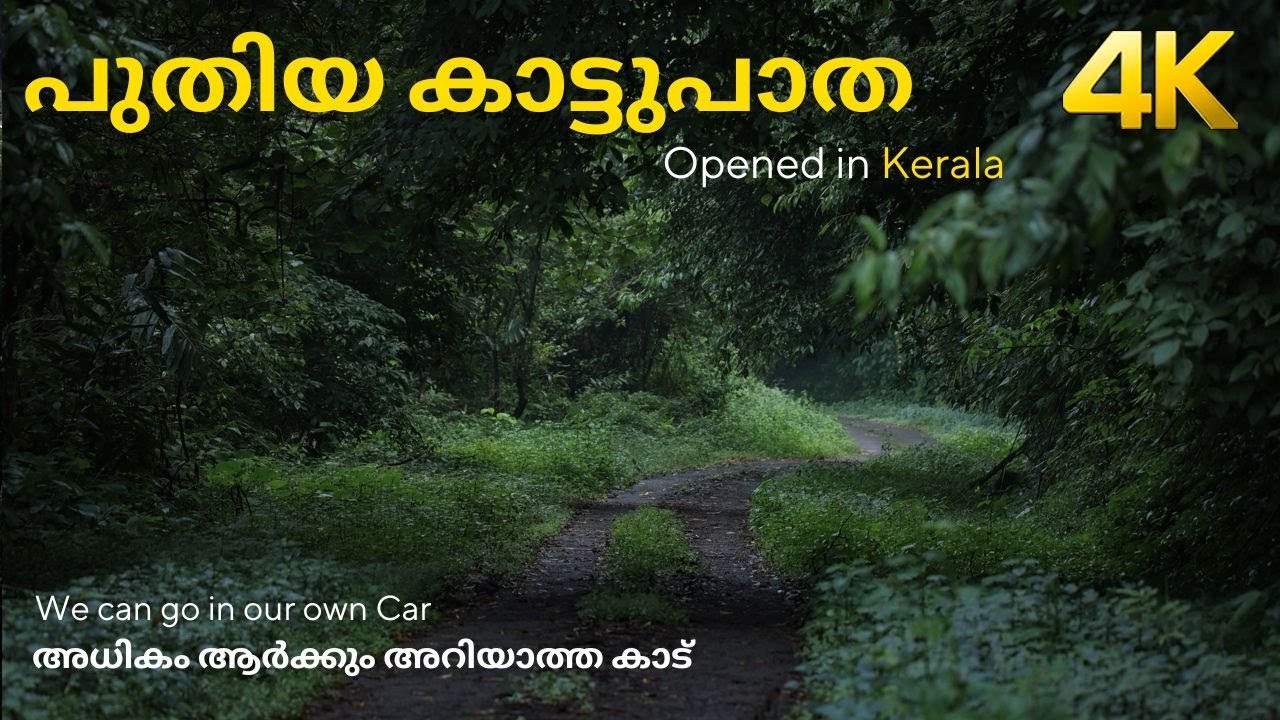 പുതിയ ഫോറെസ്റ് റോഡ് Opened !!! 4K