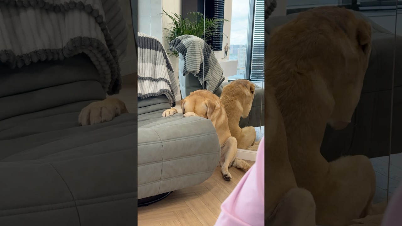 Переживает за кота🙈